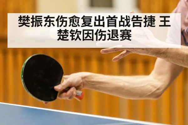 樊振东伤愈复出首战告捷 王楚钦因伤退赛