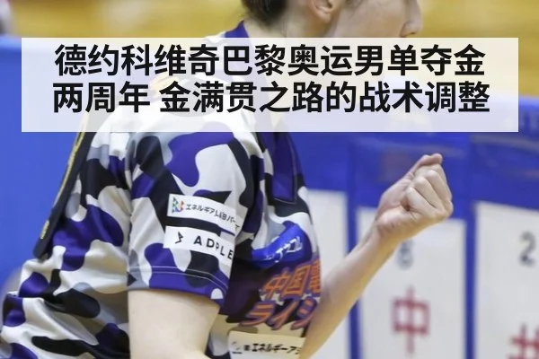 德约科维奇巴黎奥运男单夺金两周年 金满贯之路的战术调整
